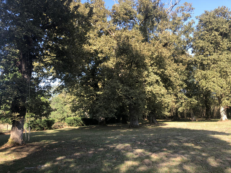 Propriété - 280 m² - 6 pièces