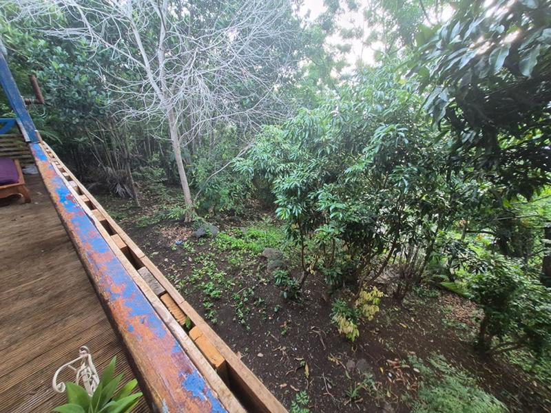 Terrain - 10 386 m²