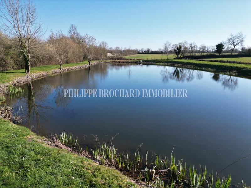 Terrain de loisirs - 6 000 m²