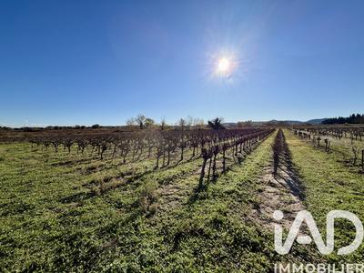 Terrain agricole - 9 227 m²