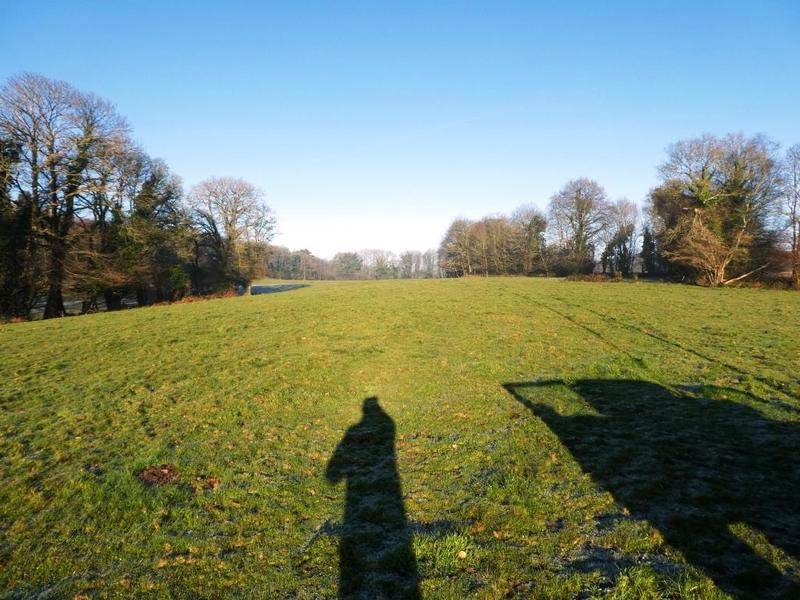 Propriété - 150 m² - 7 pièces