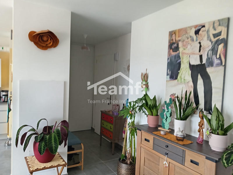 Appartement - 50 m² - 2 pièces