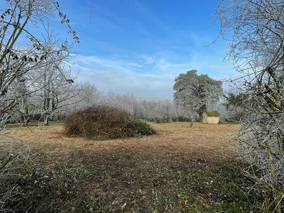 Terrain - 765 m²