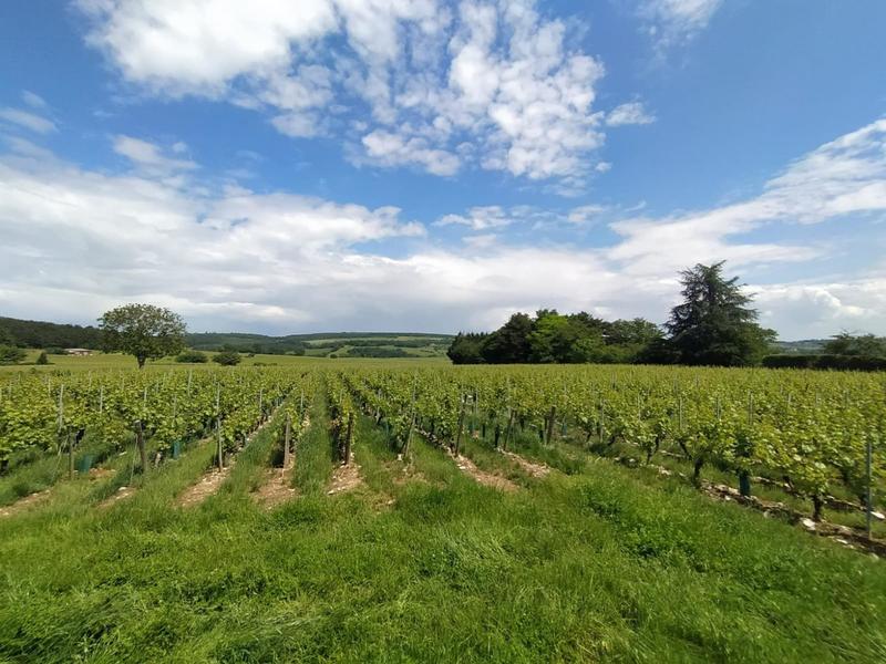 Maison - 158 m² - 6 pièces