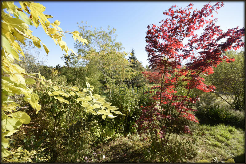 Maison - 180 m² - 5 pièces