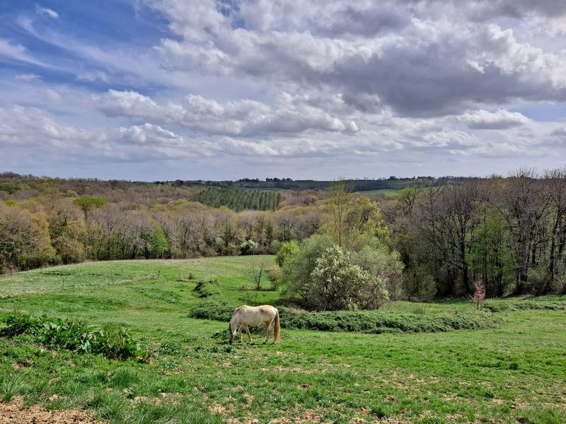 Maison - 246 m² - 6 pièces