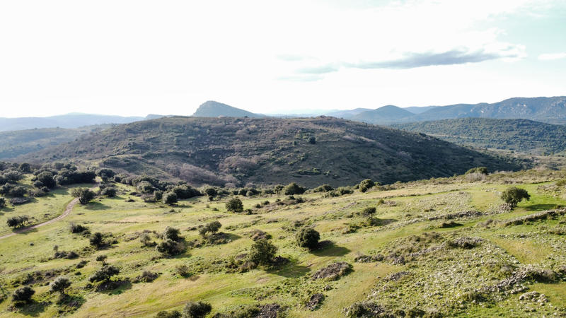 Terrain agricole - 1 510 000 m²