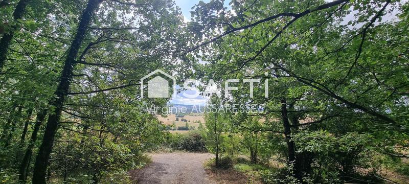 Local commercial - 100 m² - 12 pièces