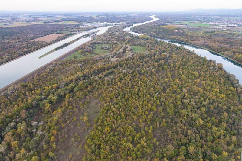 Balade découverte de l'ile de Marckolsheim