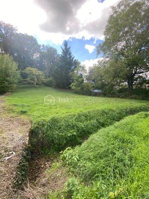 Terrain constructible - 1 007 m²