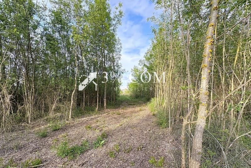 Terrain de loisirs - 4 558 m²