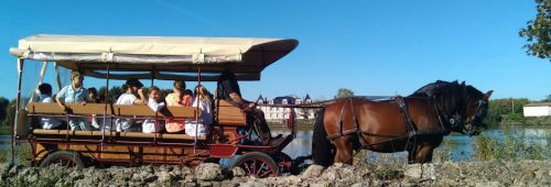 Attelages de la Calèche Enchantèe