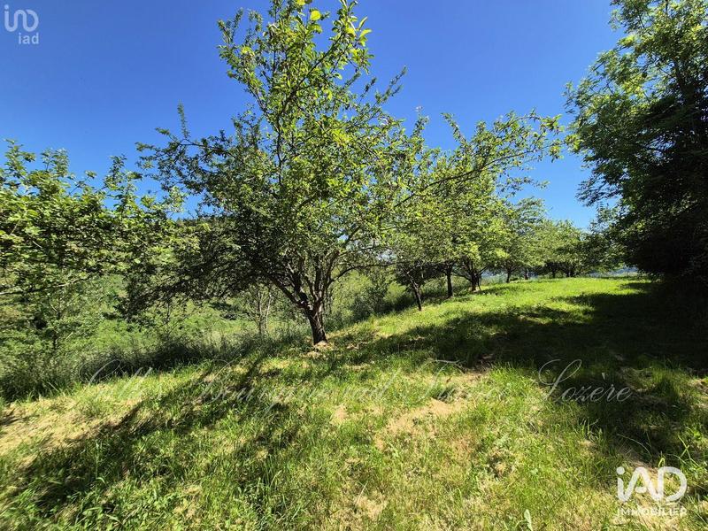 Maison - 415 m² - 16 pièces