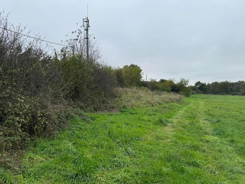 Terrain - 98 000 m²