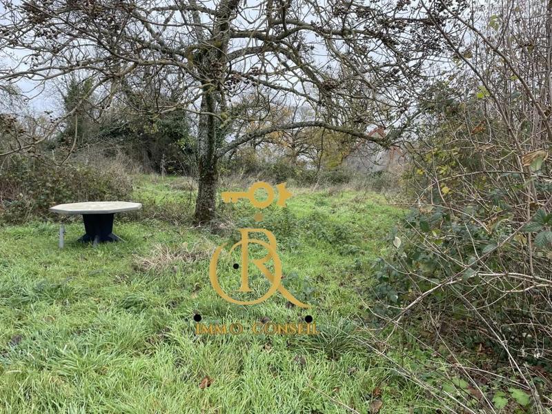 Maison ancienne - 119 m² - 4 pièces