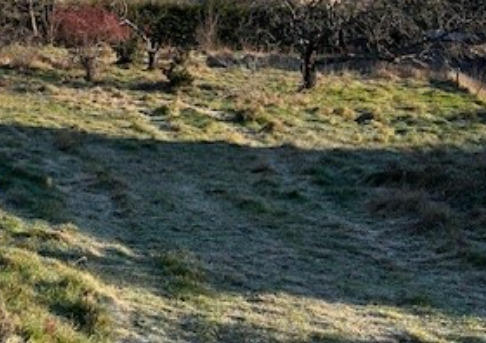 Terrain constructible - 1 484 m²