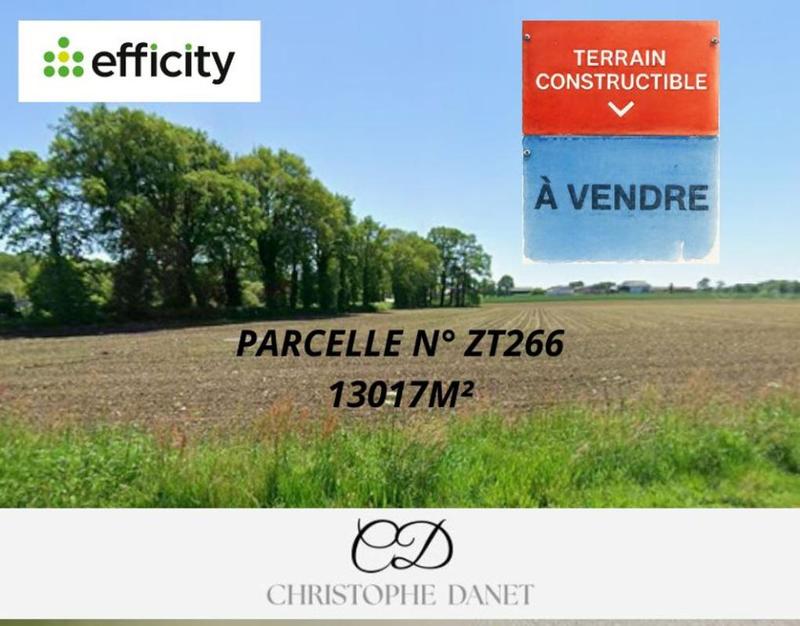 Terrain - 13 017 m²