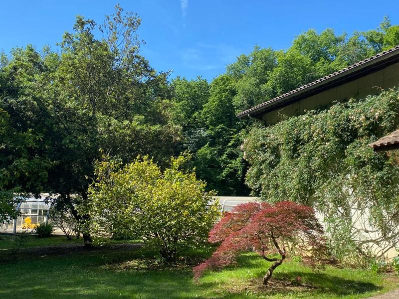 Maison - 330 m² - 9 pièces