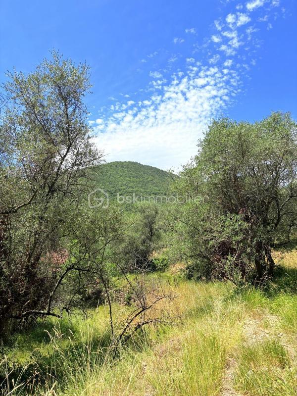 Terrain - 3 077 m²