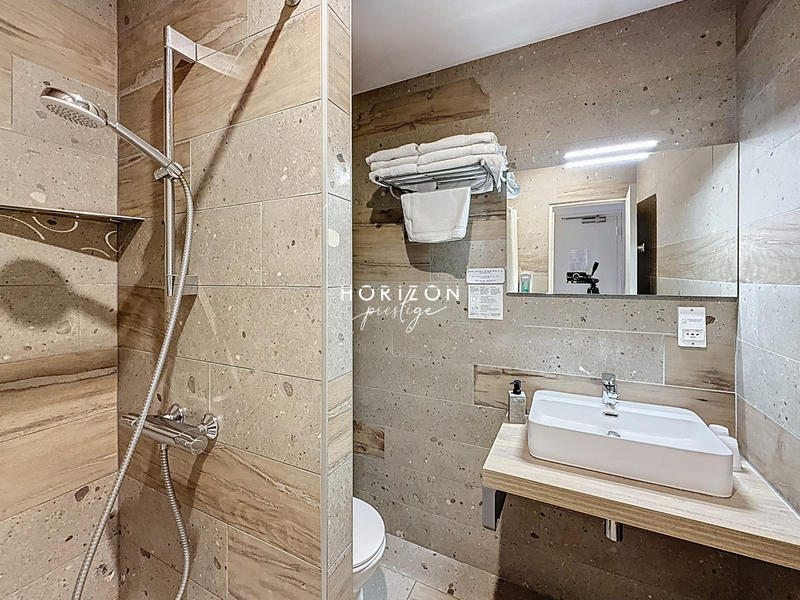 Maison ancienne - 400 m² - 15 pièces