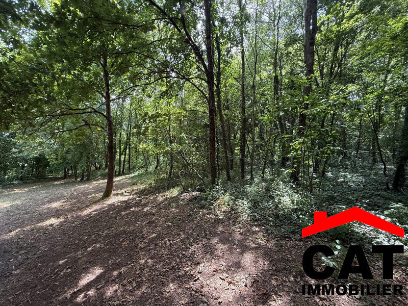 Terrain de loisirs - 3 785 m²