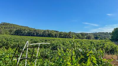 Terrain agricole - 33 300 m²