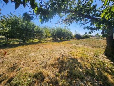 Terrain constructible - 1 147 m²
