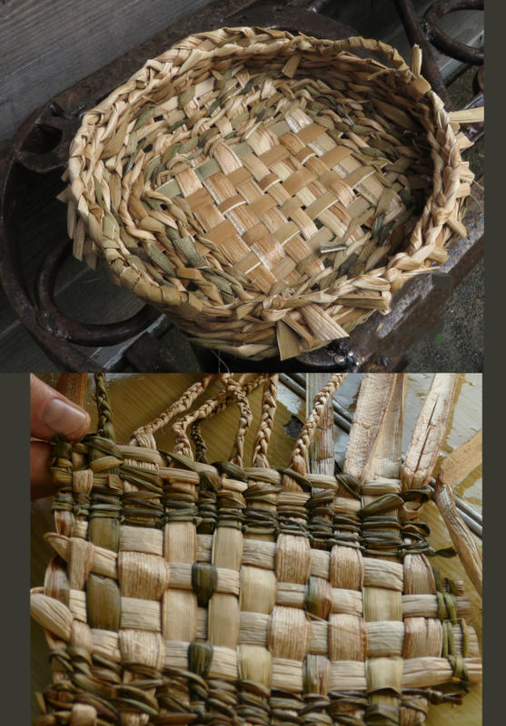 Stage de Vannerie sauvage, récolte et tressage