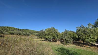 Terrain constructible - 1 490 m²