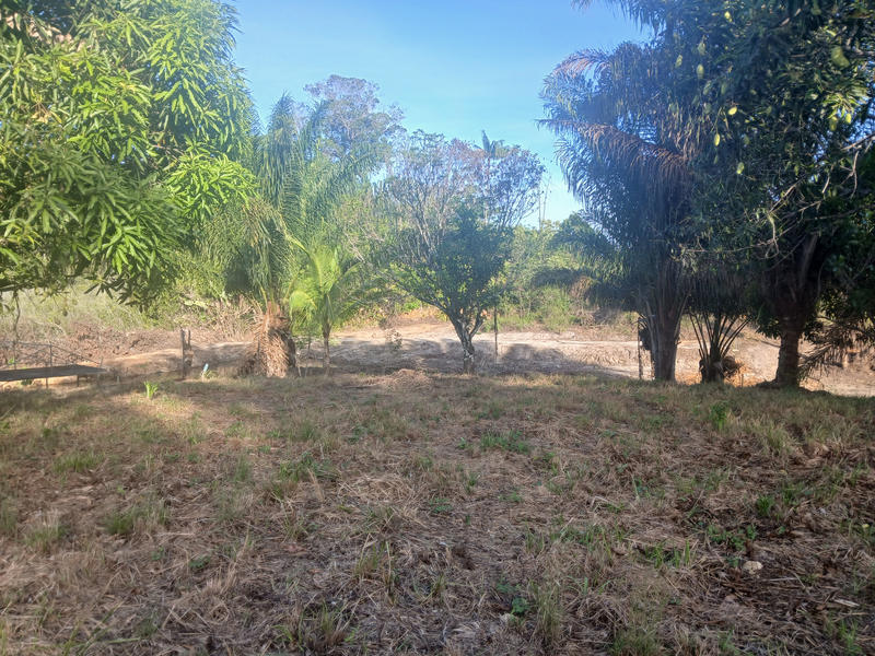 Terrain agricole - 10 004 m²