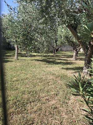 Terrain constructible - 409 m²