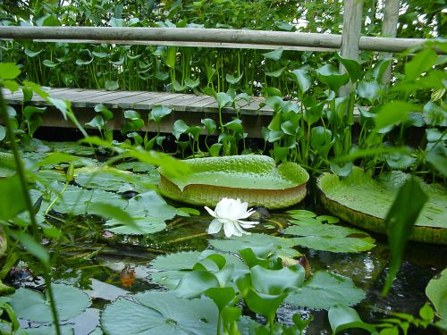 Les Jardins de Martels