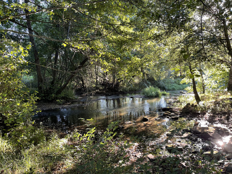 Maison - 223 m² - 7 pièces