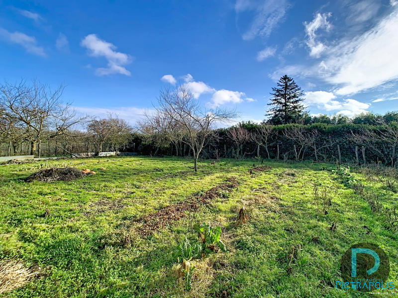 Ferme - 59 m² - 3 pièces