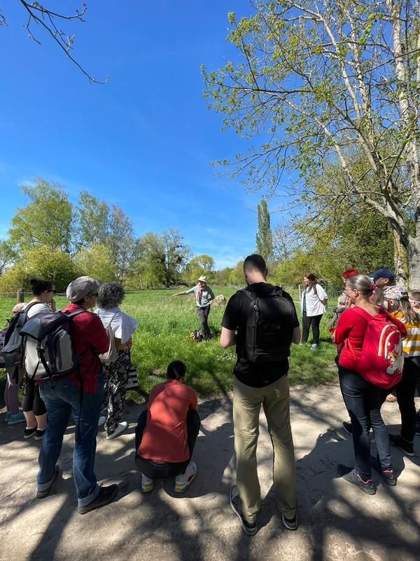 Sortie découverte des plantes sauvages comestibles