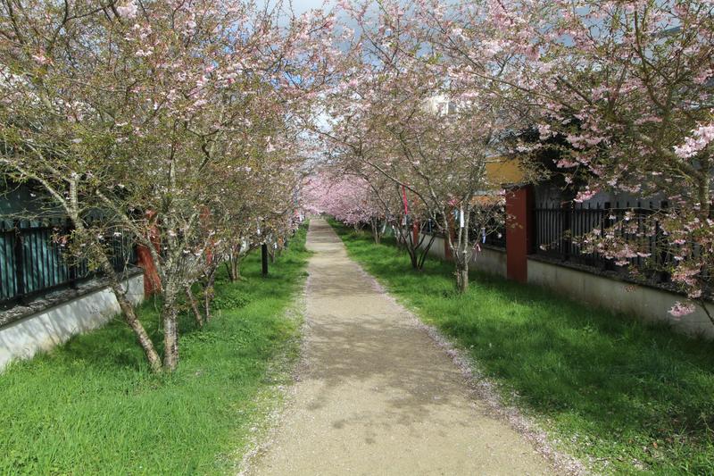 Appartement - 78 m² - 4 pièces