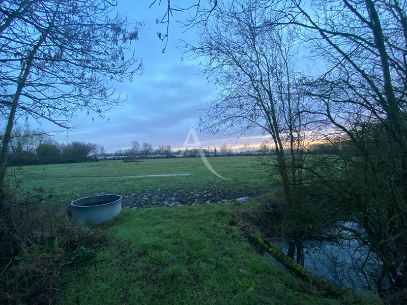 Terrain - 17 163 m²