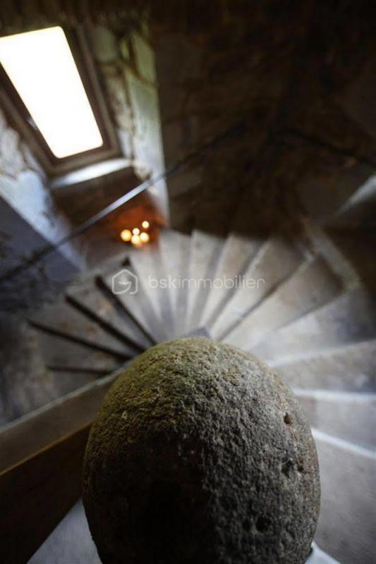 Château - 700 m² - 21 pièces