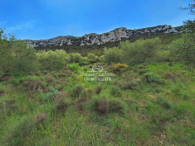 Terrain agricole - 51 314 m²