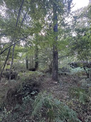 Terrain - 50 154 m²