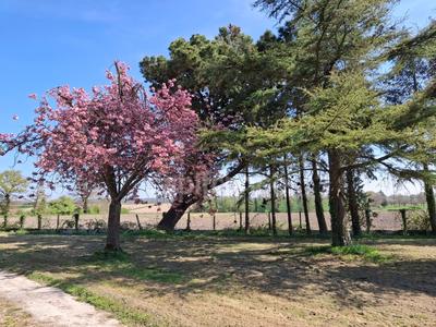 Maison en pierre - 100 m² - 6 pièces