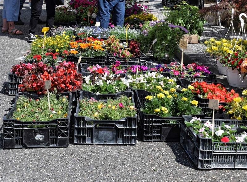 Marché aux fleurs, vide-greniers et artisanat