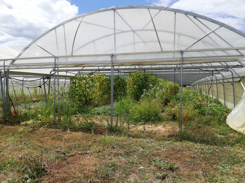 De ferme en ferme : Ferme des Luys