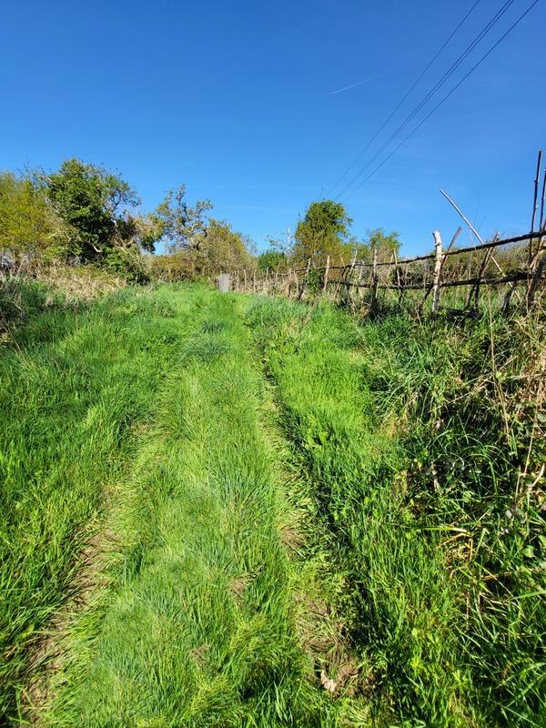 Hangar - 520 m² - 1 pièce