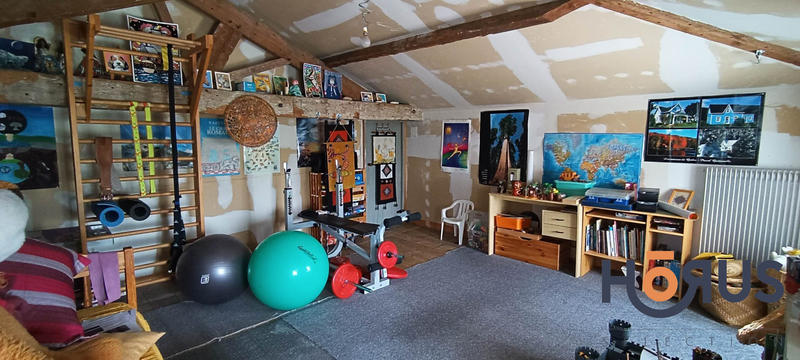 Viager - Maison - 395 m² - 8 pièces