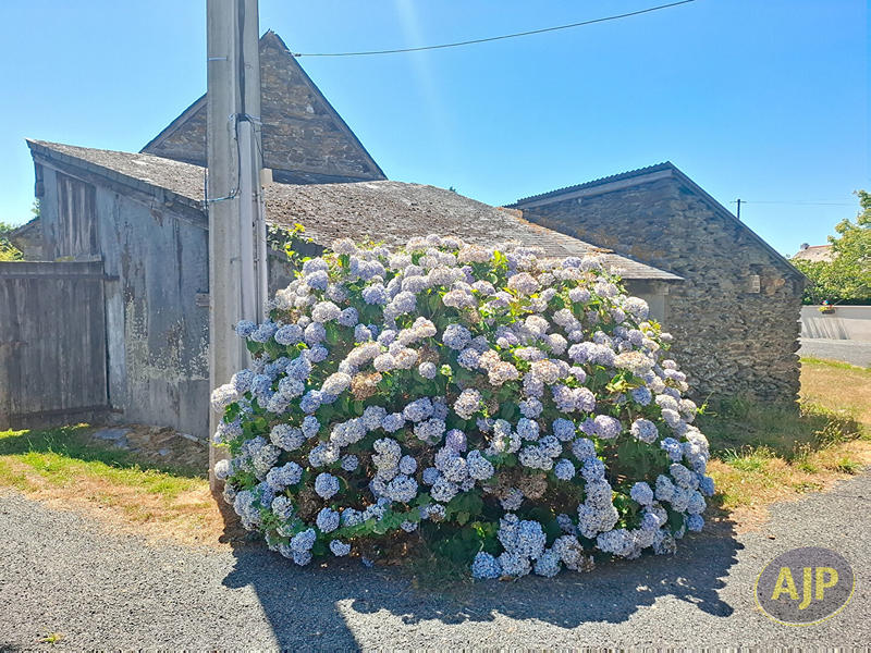 Maison - 132 m² - 2 pièces