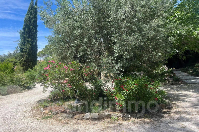 Maison - 162 m² - 5 pièces