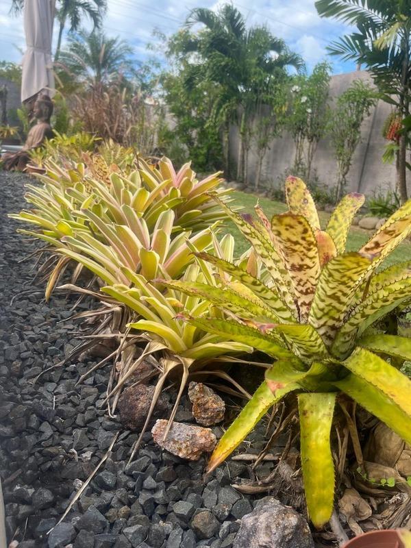 Villa - 236 m² - 6 pièces