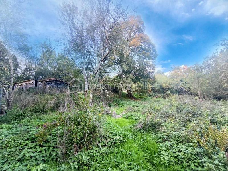 Ferme - 152 m² - 6 pièces