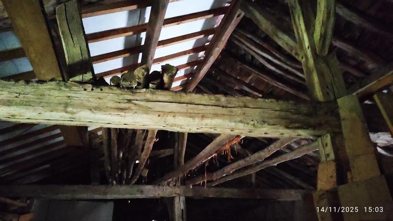 Maison de village - 160 m² - 7 pièces